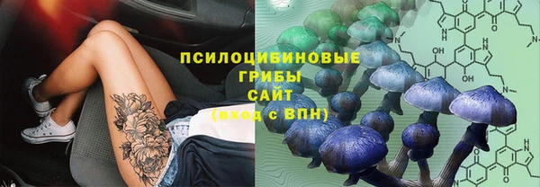 а пвп мука Баксан