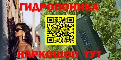 стаф Ливны