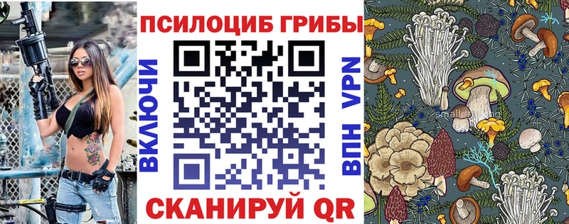 Псилоцибиновые грибы ЛСД  купить закладку  Ессентуки 