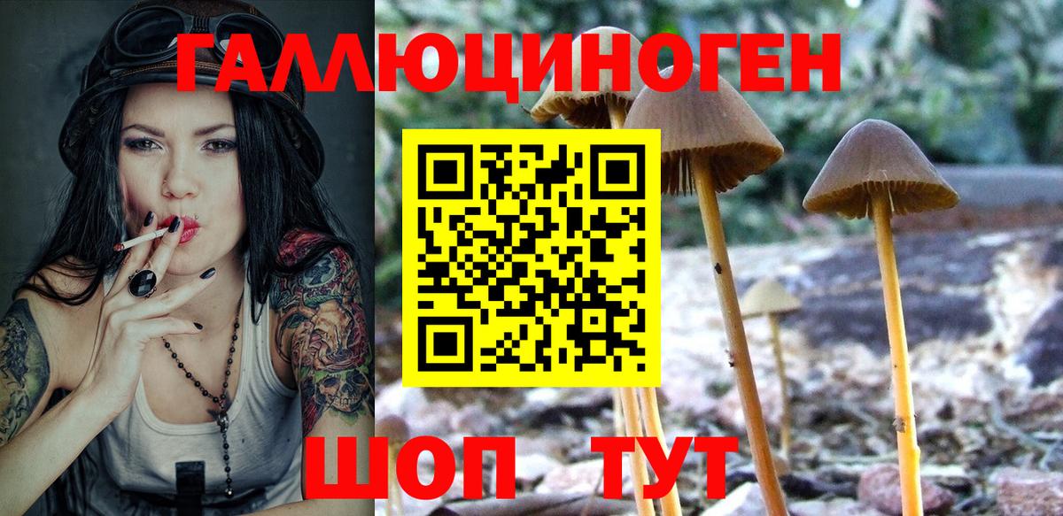 Ессентуки  Галлюциногенные грибы Psilocybine cubensis  Вход с VPN 