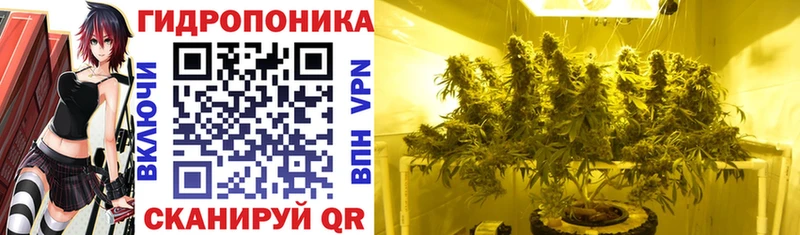 MEGA как зайти  Ессентуки  Конопля конопля  наркошоп 